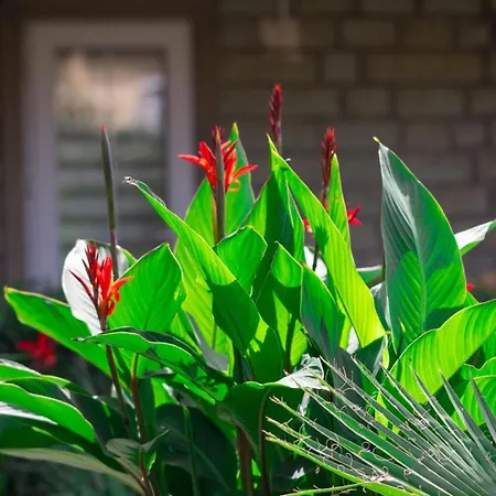 Kampues Garden Отель 4*