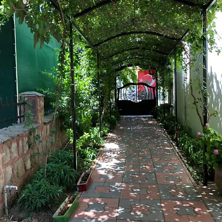 Kampues Garden 4*