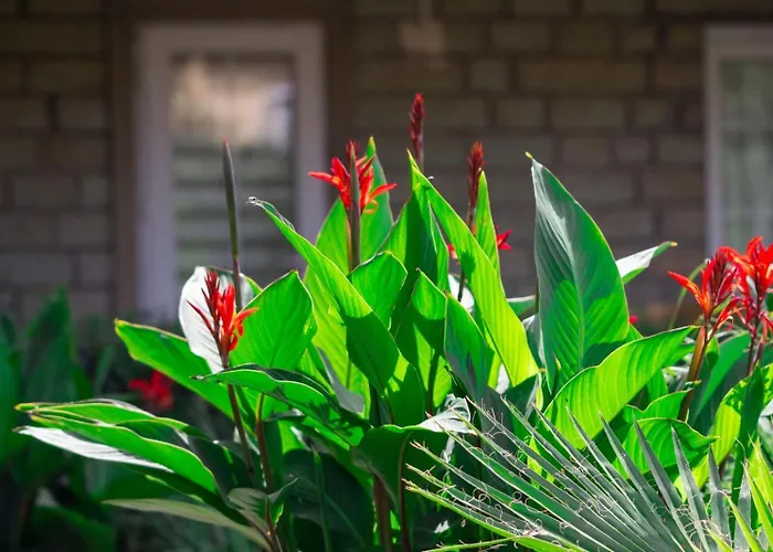 Kampues Garden 酒店 4*